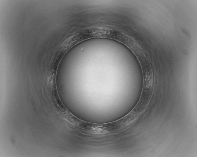X0000116060753200911201456