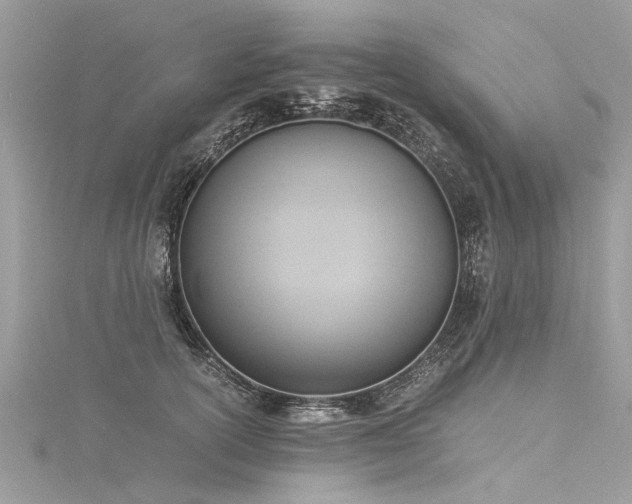X0000116060754200911201456