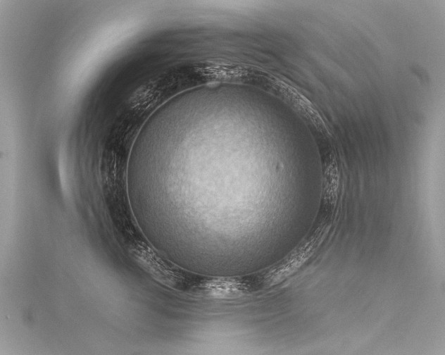 X0000116060762200911201456