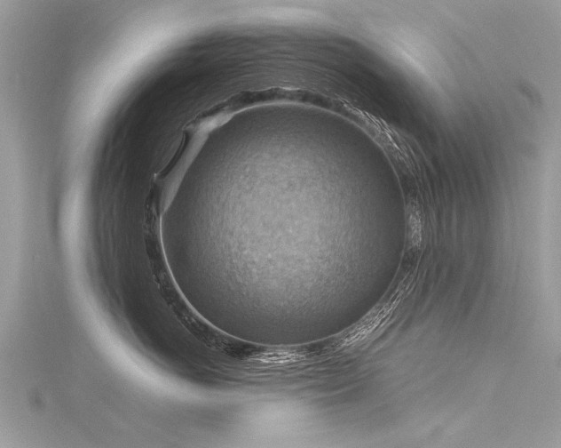 X0000116060766200911201456