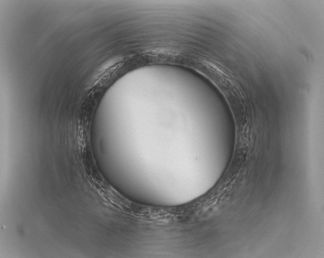 X0000116060774200911201455