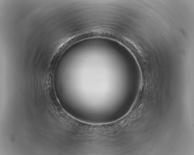 X0000116060776200911201455