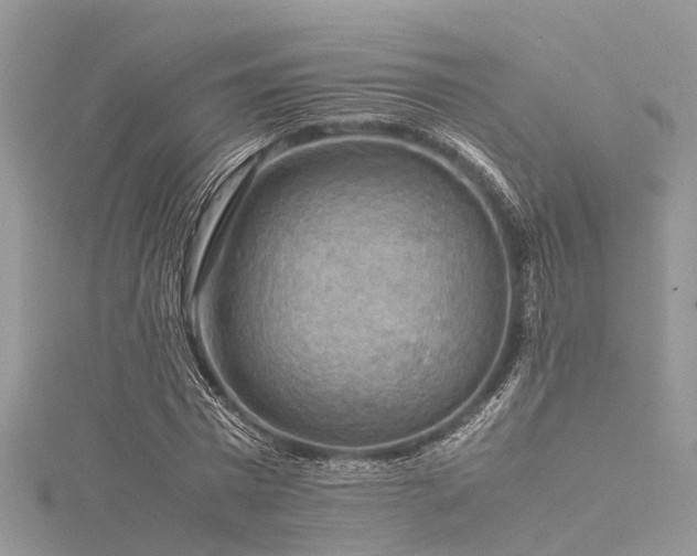 X0000116060777200911201455