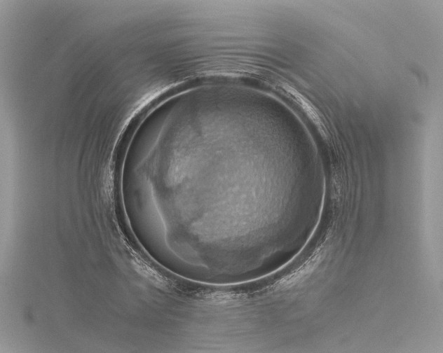 X0000116060779200911201455
