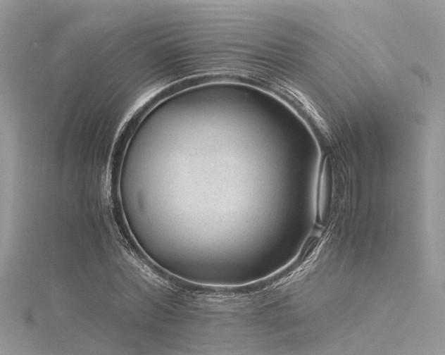 X0000116060780200911201455