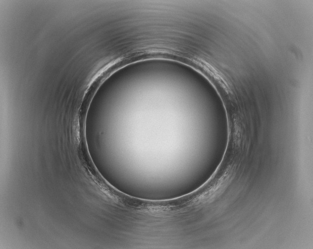 X0000116060782200911201455
