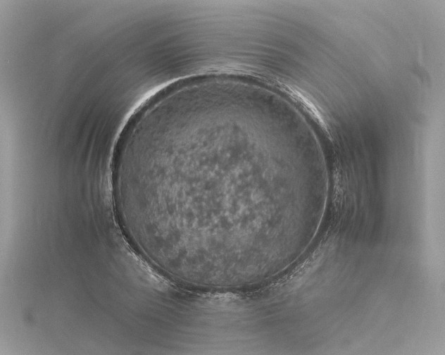 X0000116060784200911201455