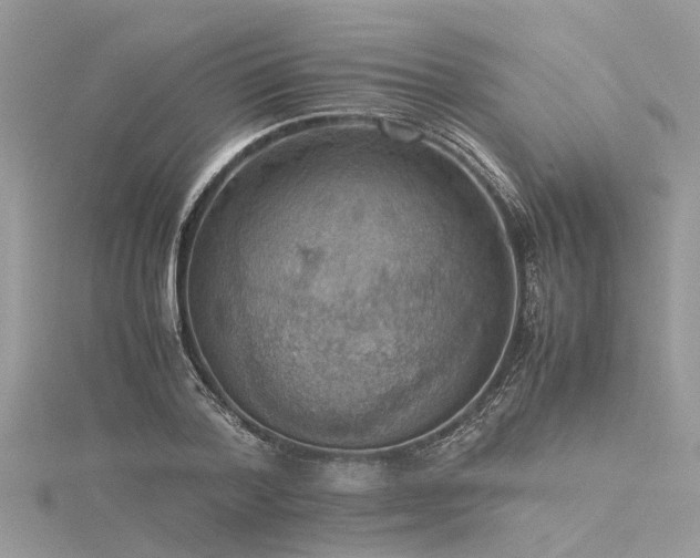X0000116060788200911201455