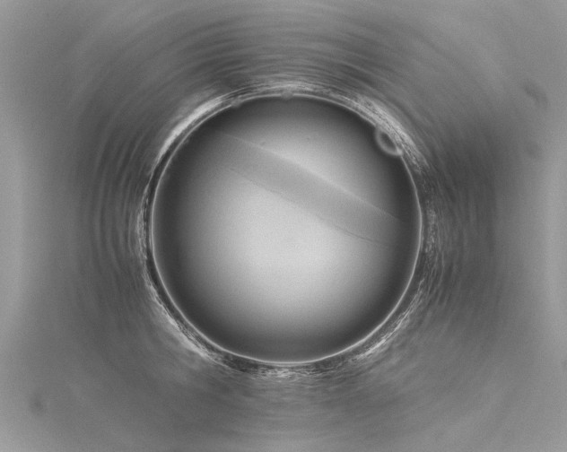 X0000116060806200911201455