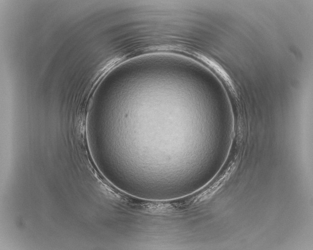 X0000116060809200911201455