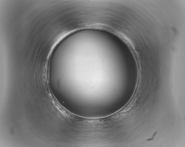 X0000116060816200911201455
