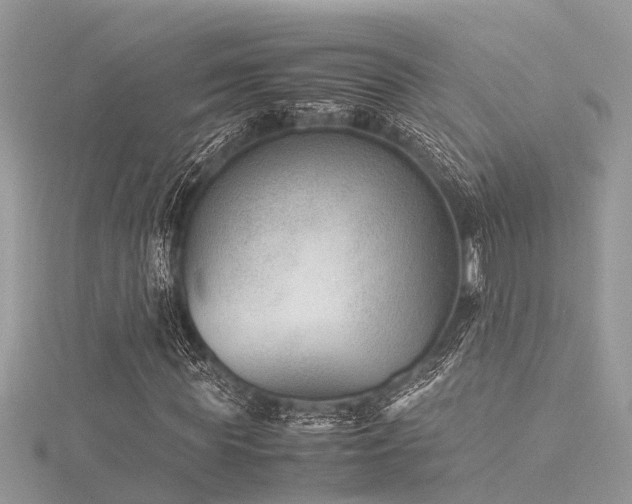X0000116060819200911201454