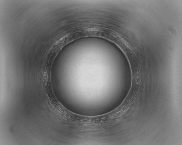X0000116060821200911201454