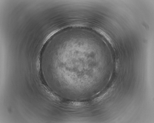 X0000116060829200911201454