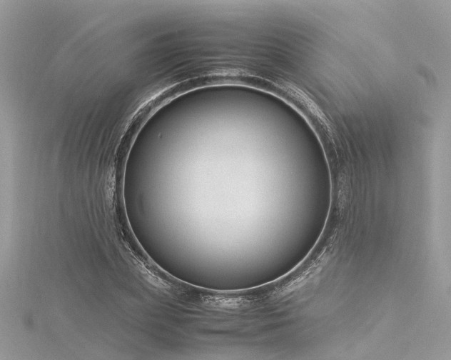 X0000116060831200911201454