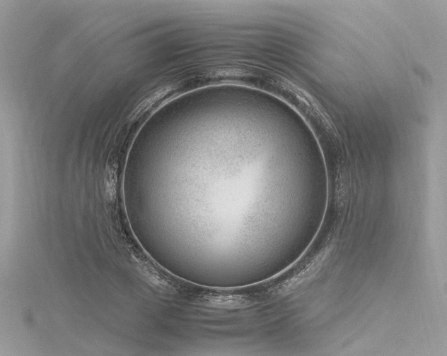 X0000116060833200911201454