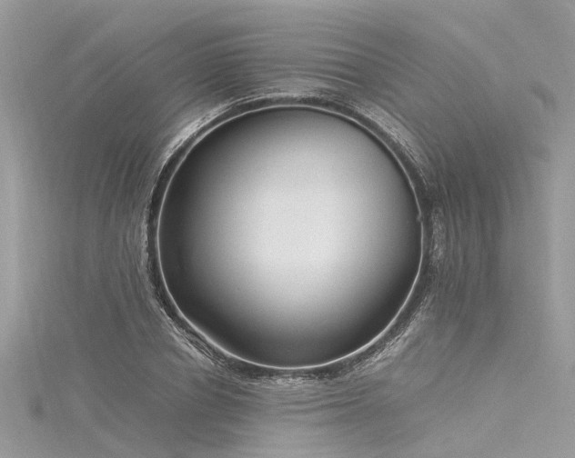X0000116060834200911201454