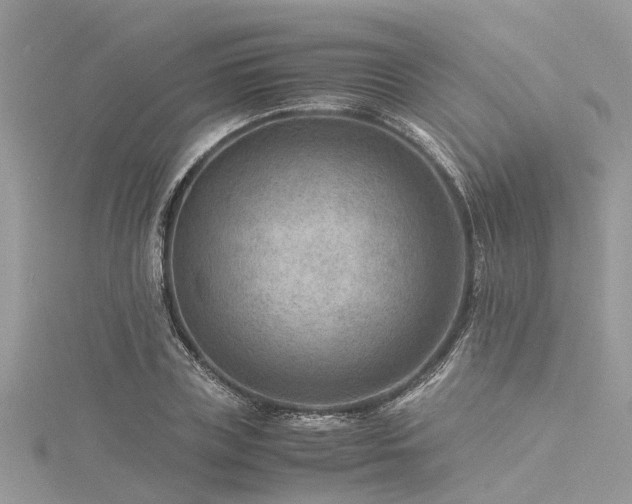 X0000116060835200911201454