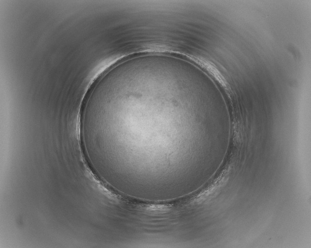 X0000116060839200911201454