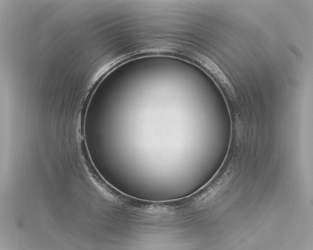 X0000116060842200911201454
