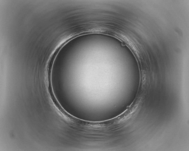 X0000116060843200911201454
