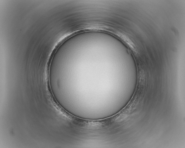 X0000116060848200911201454