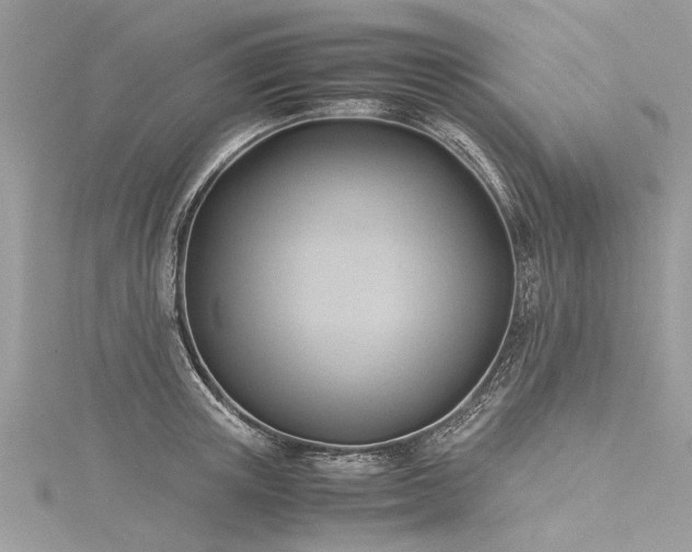 X0000116060851200911201454