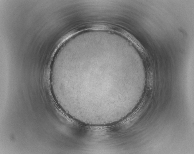 X0000116060856200911201454