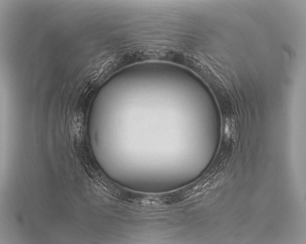 X0000116060867200911201454