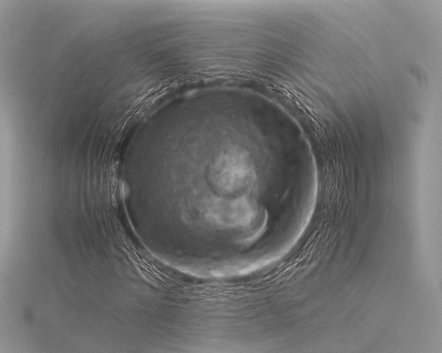 X0000116060868200911201454
