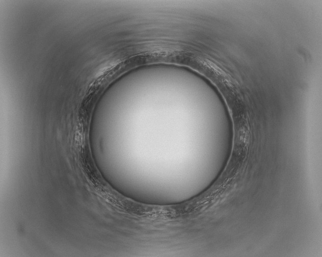 X0000116060869200911201454
