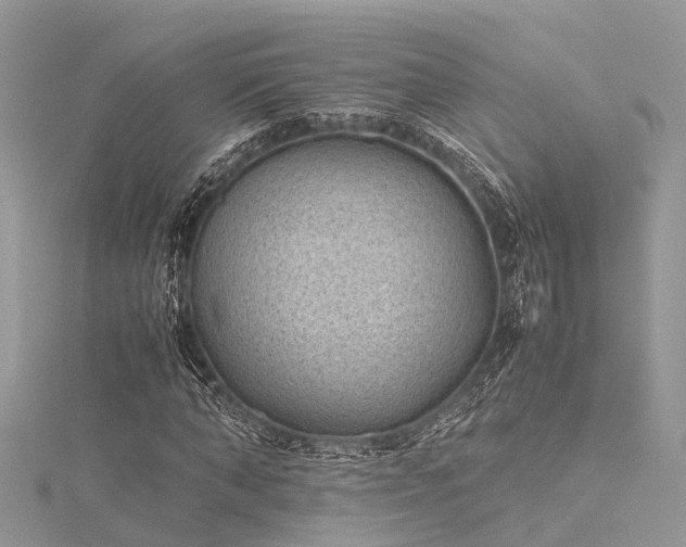 X0000116060870200911201454