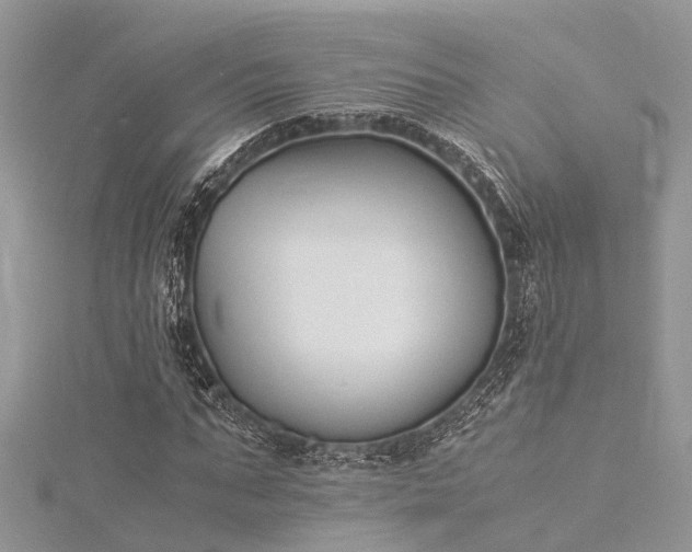 X0000116060871200911201454