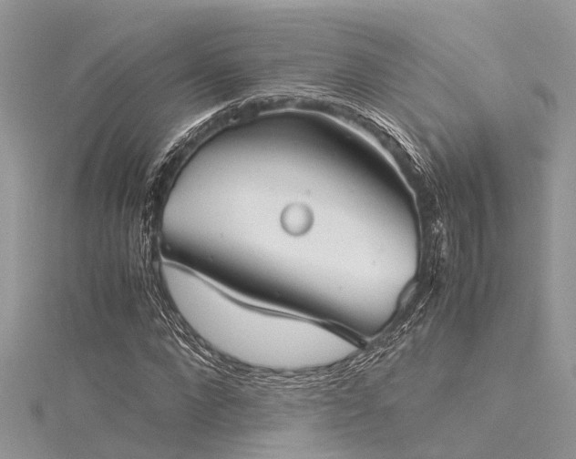 X0000116060872200911201454