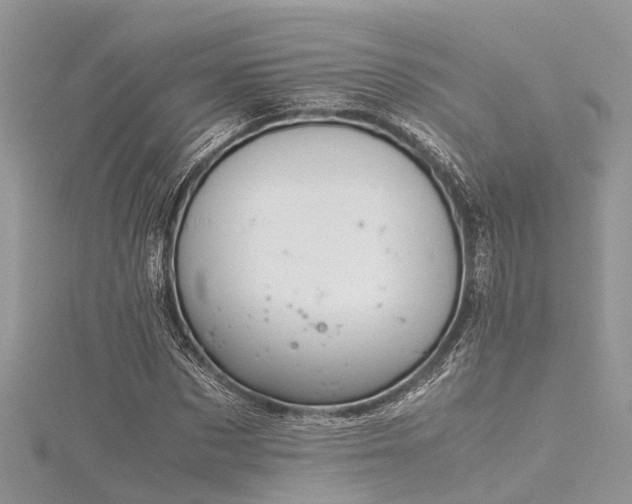 X0000116060873200911201454