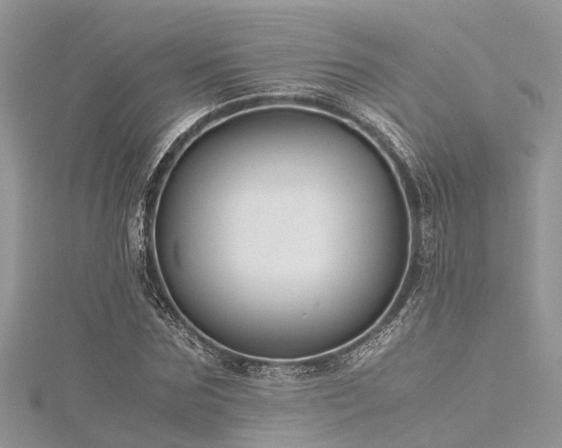 X0000116060875200911201454