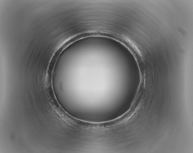 X0000116060876200911201454