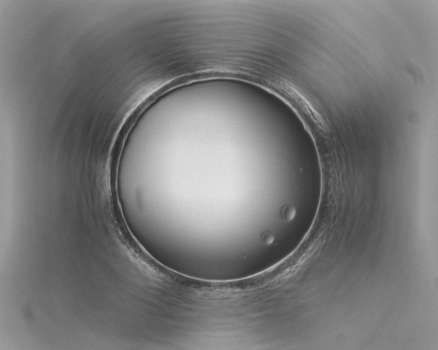 X0000116060884200911201454