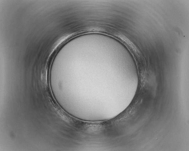 X0000116060886200911201454