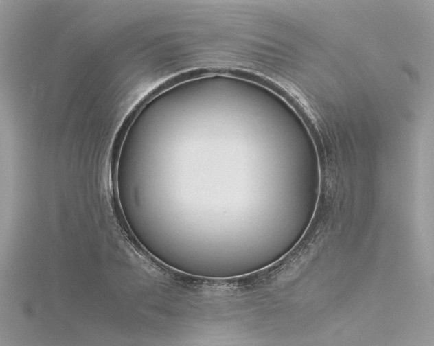 X0000116060887200911201454