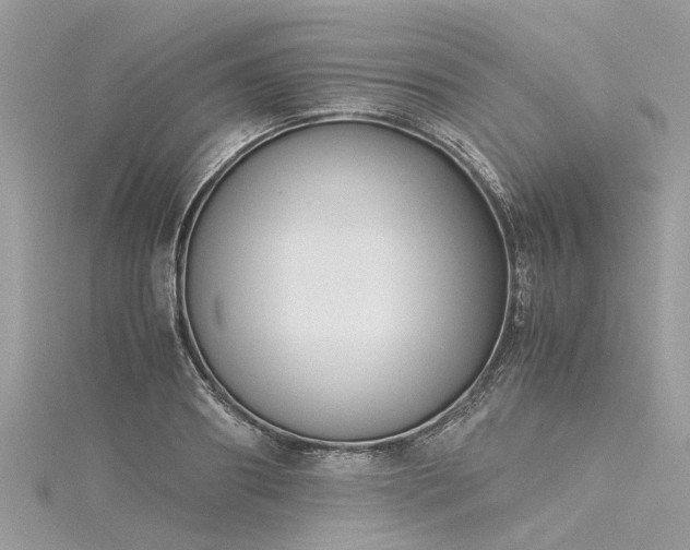 X0000116060890200911201454