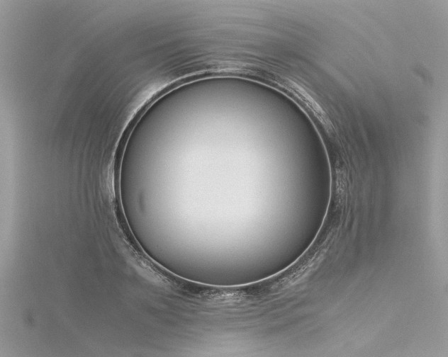 X0000116060891200911201454