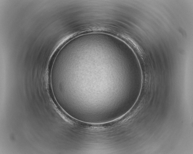 X0000116060894200911201454