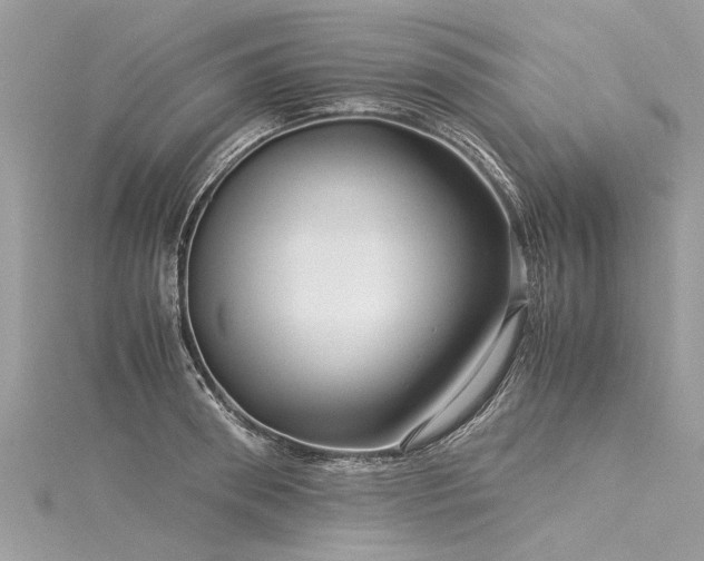 X0000116060898200911201453