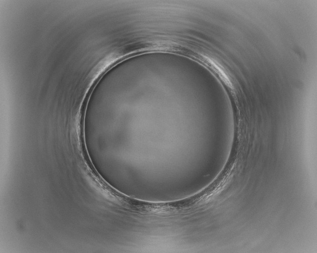 X0000116060899200911201453