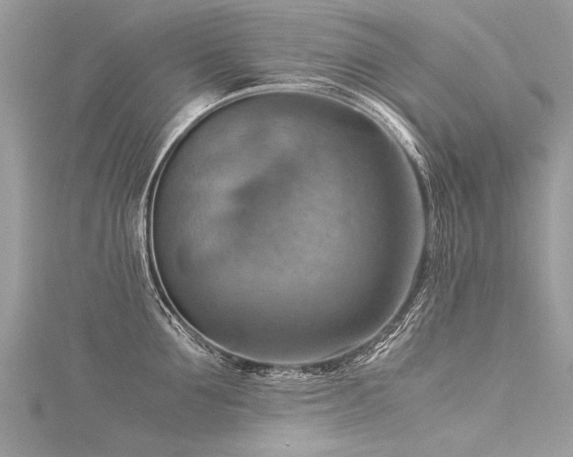 X0000116060907200911201453