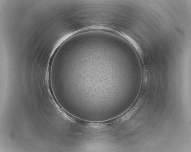 X0000116060910200911201453