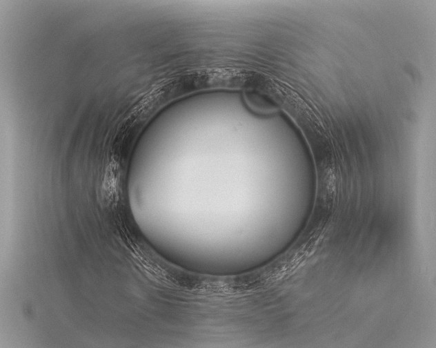 X0000116060914200911201452