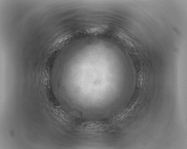 X0000116060917200911201452