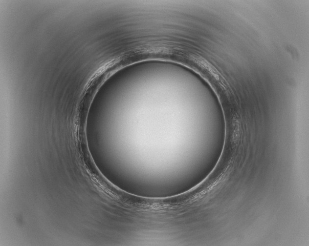X0000116060922200911201452